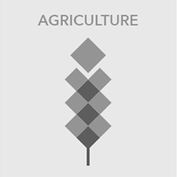 Mestrezat : Agriculture