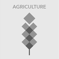 Mestrezat : Agriculture Mestrezat : Agriculture